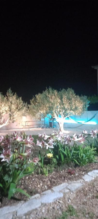 דראגה Apartmani Nikica מראה חיצוני תמונה